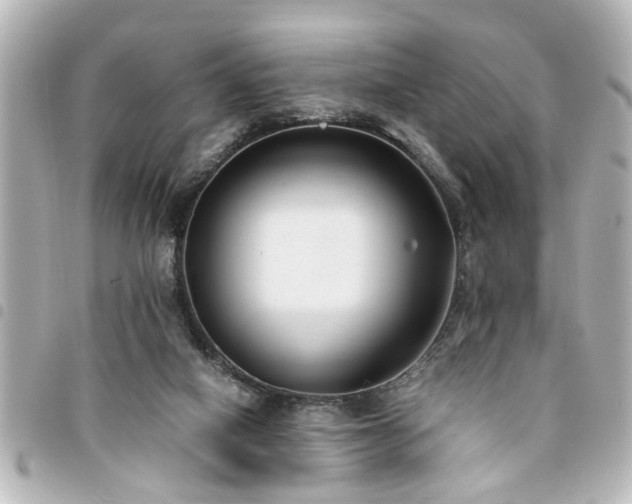 X0000094360066200711021518