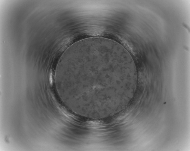 X0000094360069200711021518