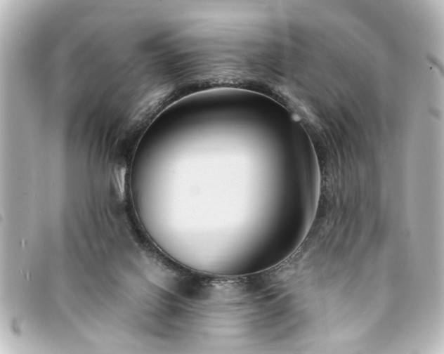 X0000094360070200711021518