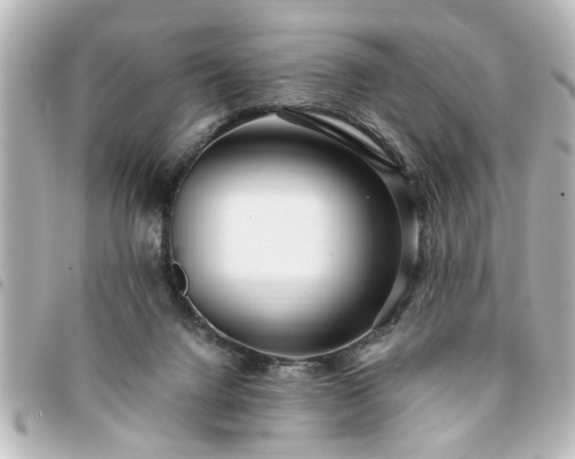 X0000094360072200711021518