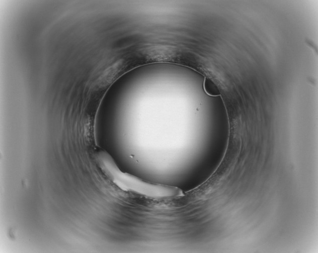 X0000094360073200711021518