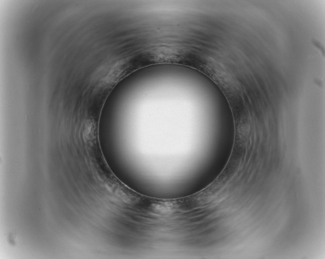 X0000094360079200711021518