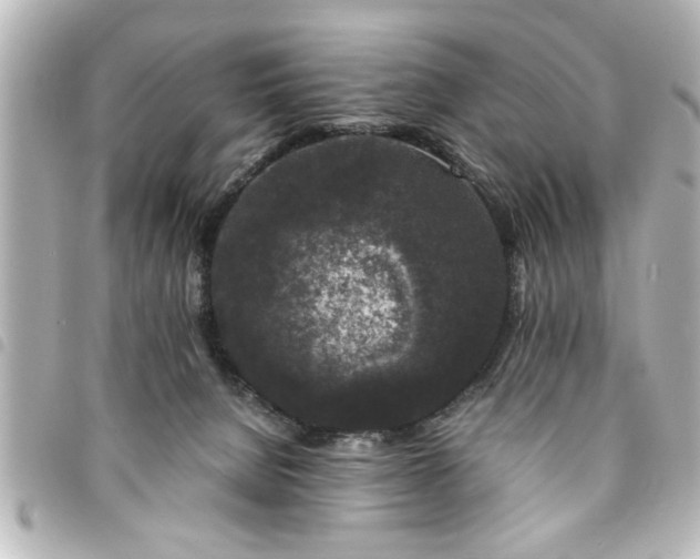 X0000094360080200711021518