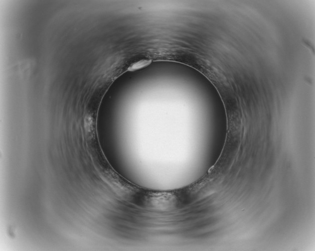 X0000094360087200711021518