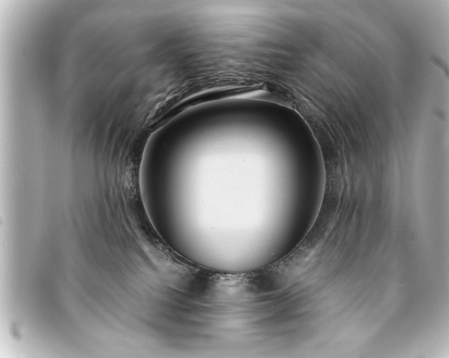 X0000094360088200711021518