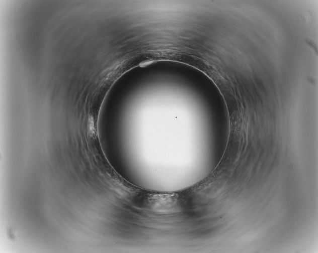 X0000094360089200711021518