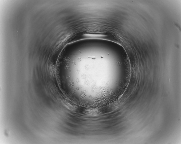 X0000094360093200711021518