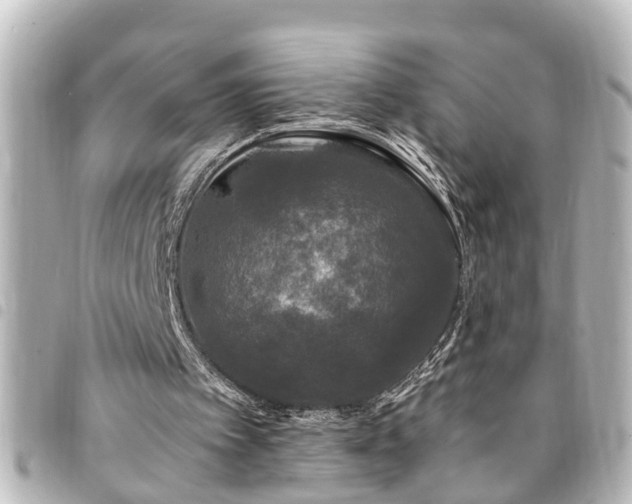 X0000094360097200711021518