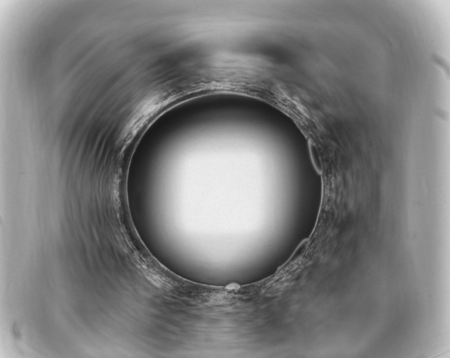 X0000094360098200711021518