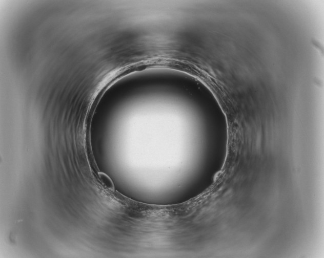 X0000094360100200711021518