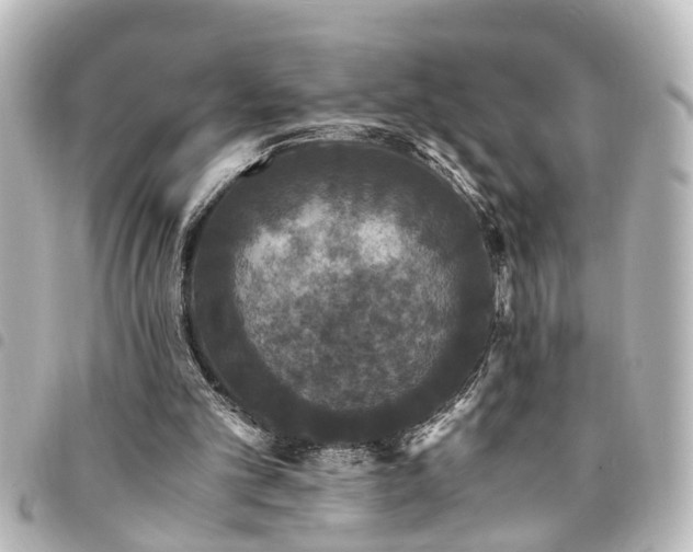 X0000094360101200711021518