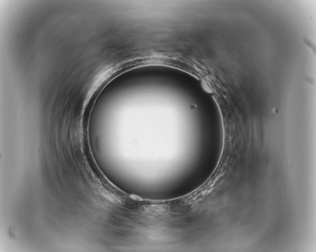 X0000094360102200711021518