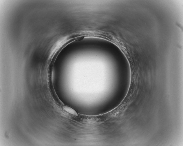 X0000094360103200711021518