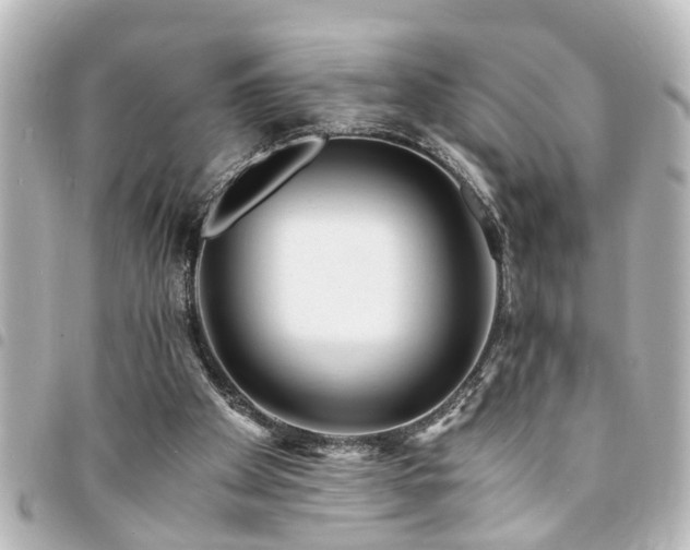 X0000094360105200711021518