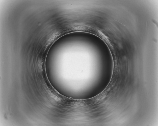 X0000094360106200711021518