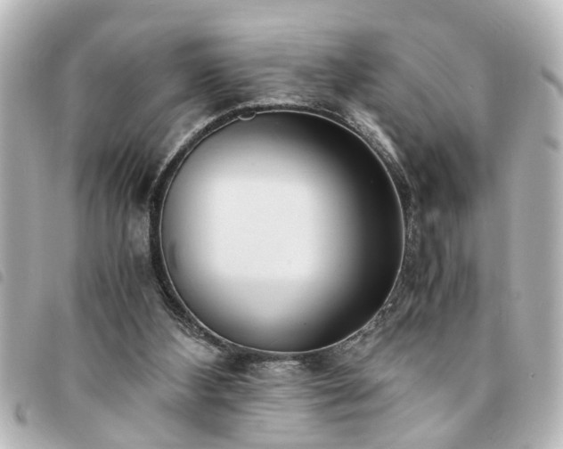 X0000094360108200711021518