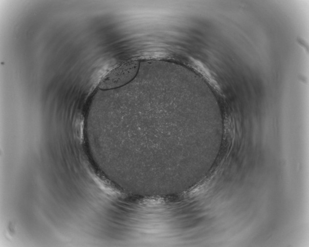 X0000094360110200711021517
