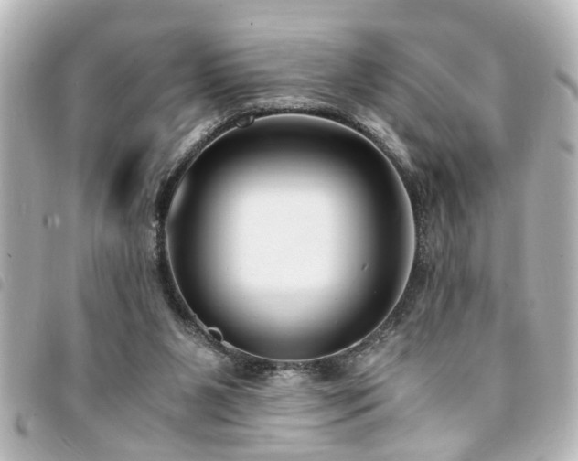 X0000094360111200711021517