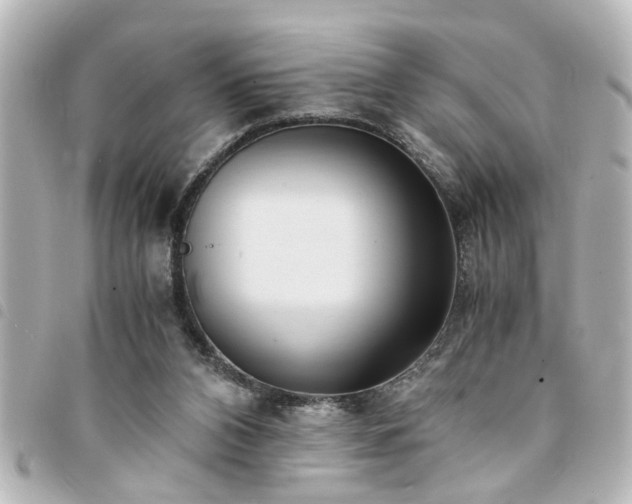X0000094360112200711021517