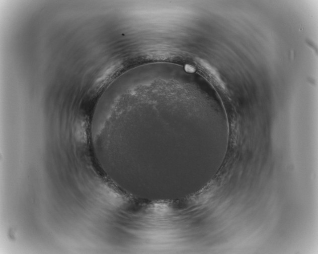 X0000094360114200711021517