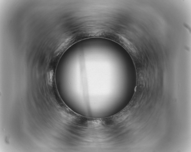 X0000094360118200711021517
