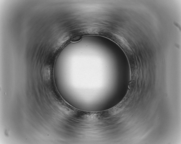 X0000094360120200711021517