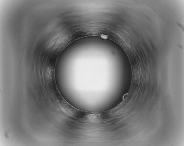 X0000094360126200711021517