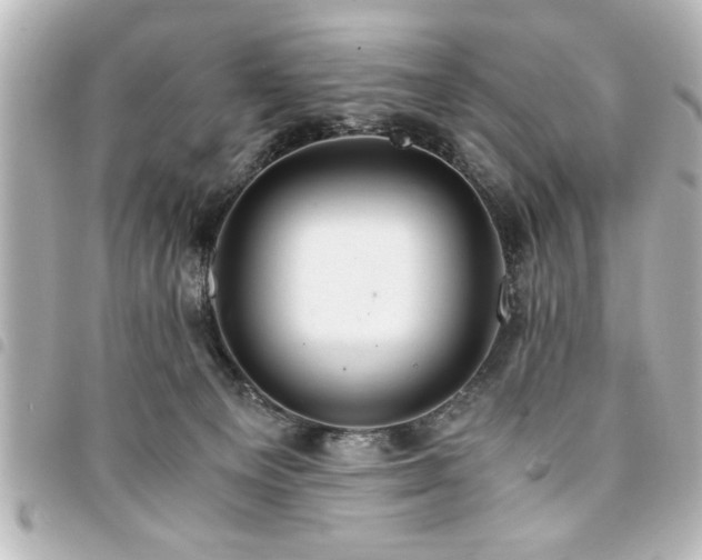 X0000094360129200711021517
