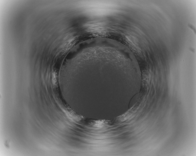 X0000094360130200711021517
