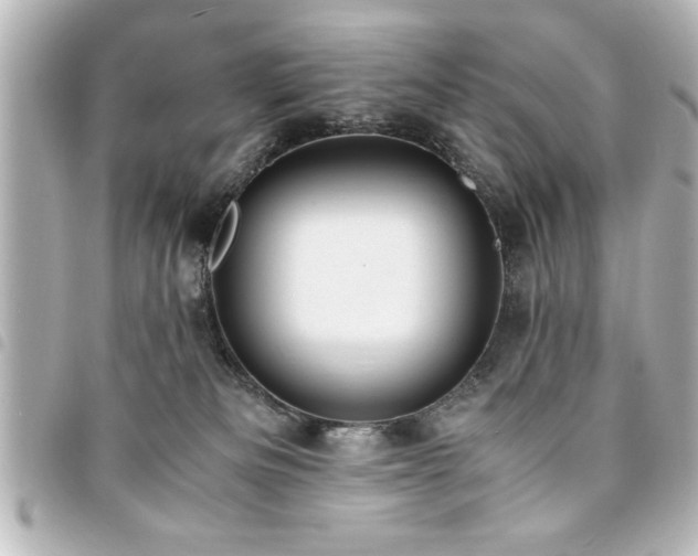 X0000094360133200711021517