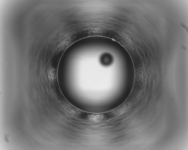 X0000094360135200711021517
