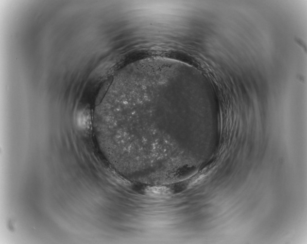 X0000094360137200711021517