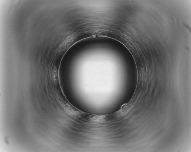 X0000094360138200711021517