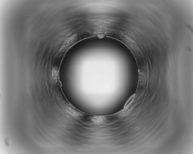 X0000094360142200711021517