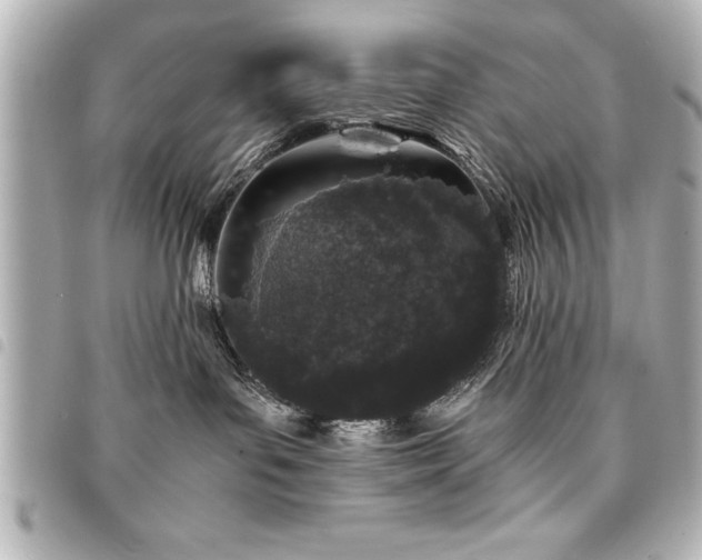 X0000094360143200711021517