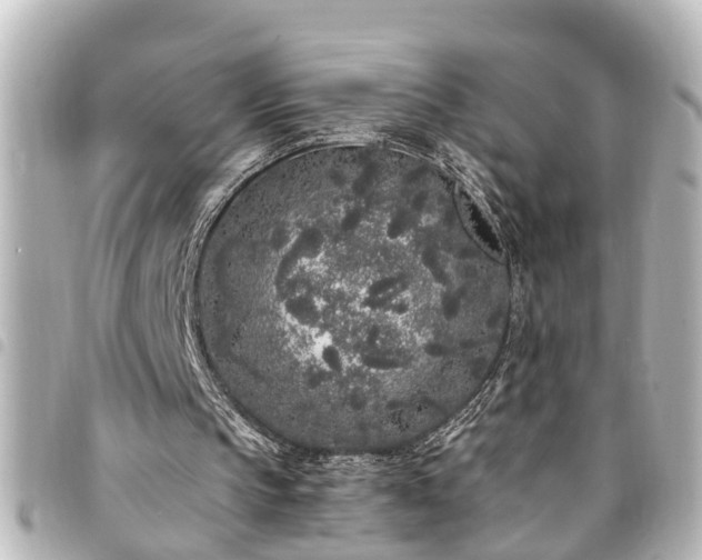 X0000094360145200711021517