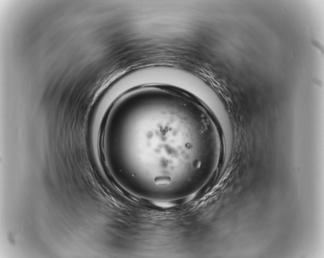 X0000094360146200711021517