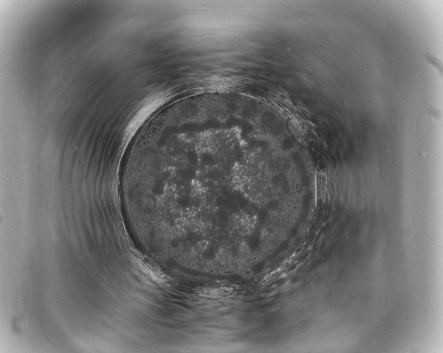 X0000094360147200711021517