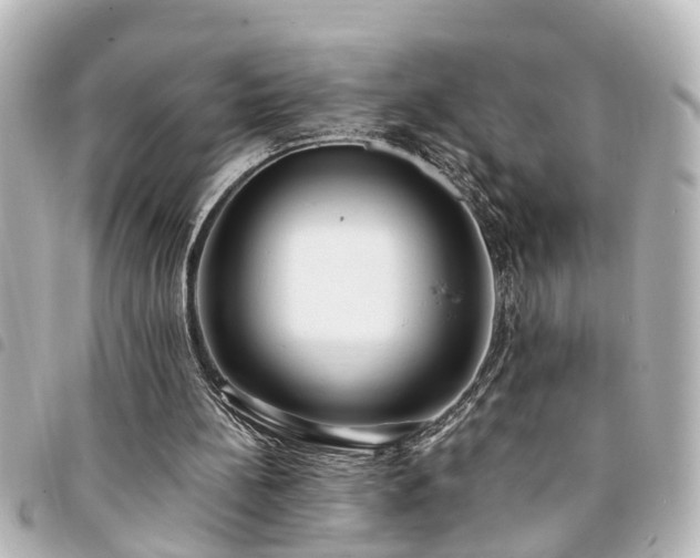 X0000094360148200711021517