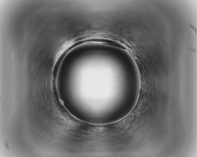 X0000094360152200711021517