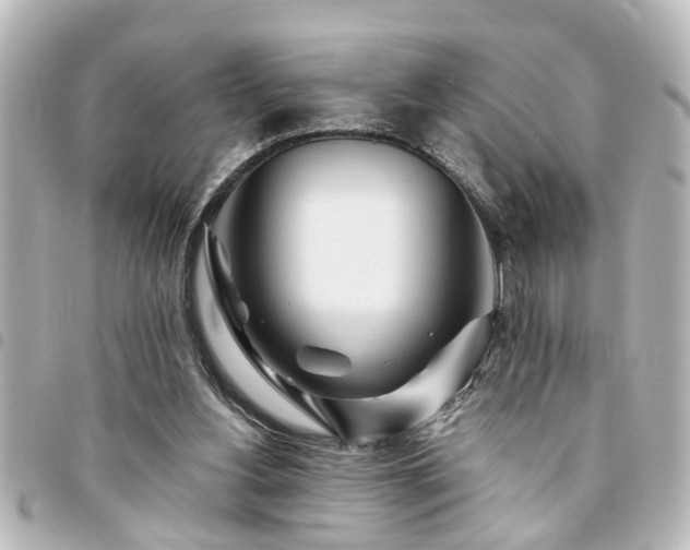 X0000094360156200711021517