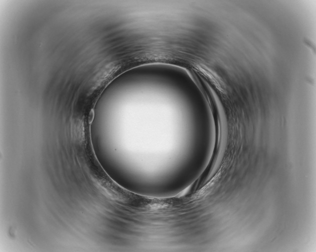 X0000094360158200711021517