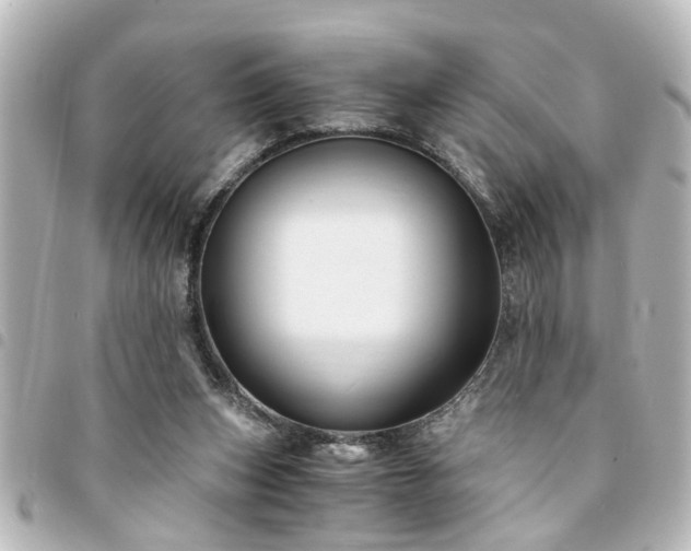 X0000094360159200711021517