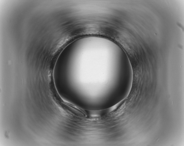 X0000094360160200711021517