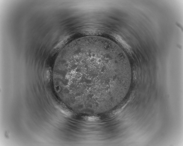 X0000094360165200711021517