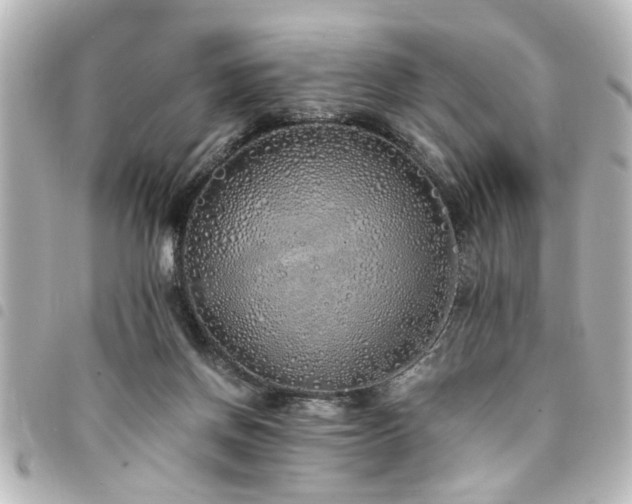 X0000094360166200711021517