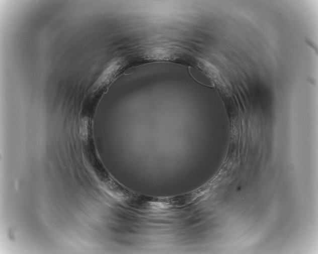 X0000094360167200711021517