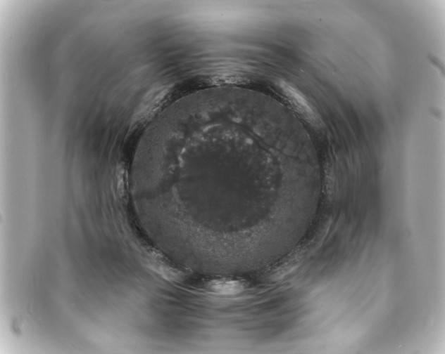 X0000094360169200711021517