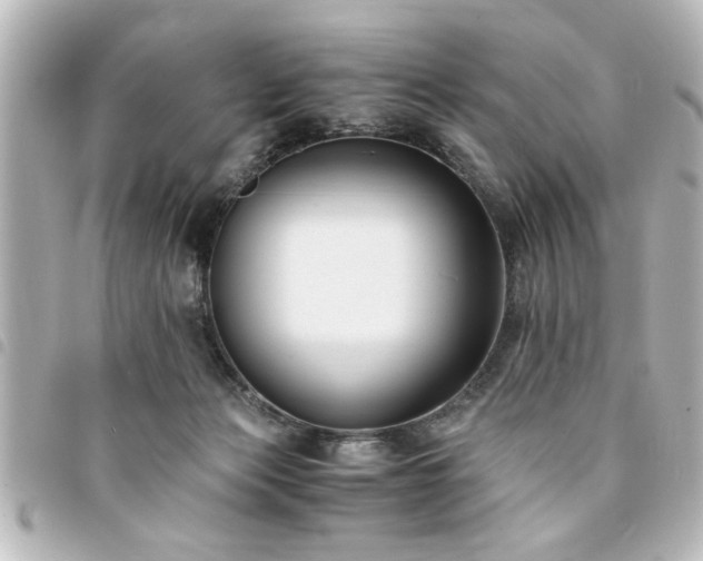 X0000094360173200711021517