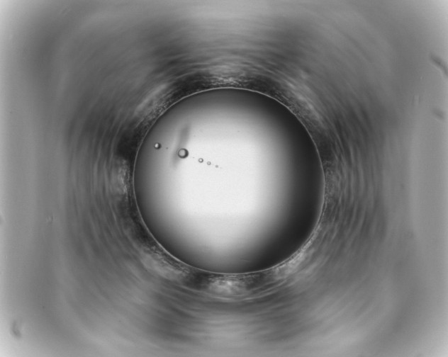 X0000094360174200711021517